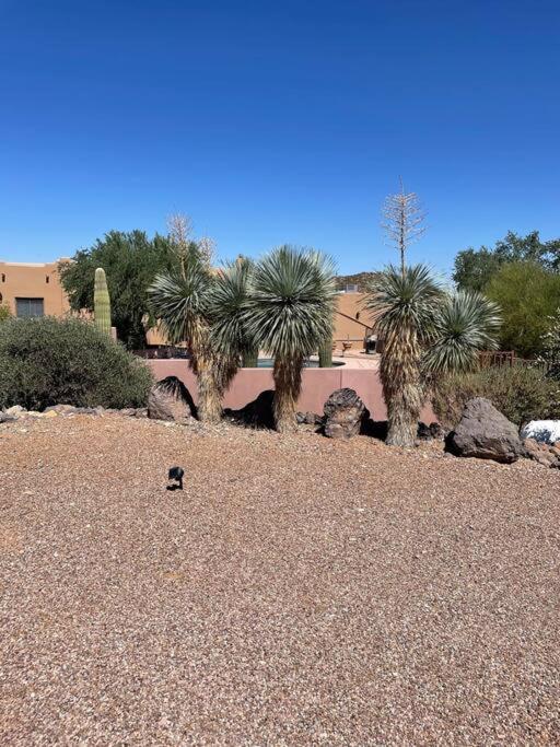 Вилла Tucson Mnt Foothills Saguaro Bliss Экстерьер фото